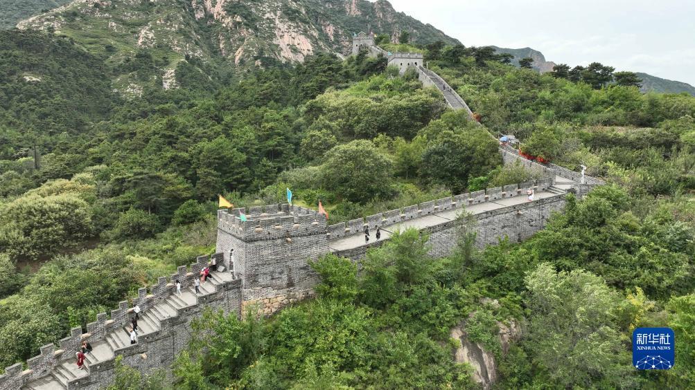 同升s8s国际官网论坛
